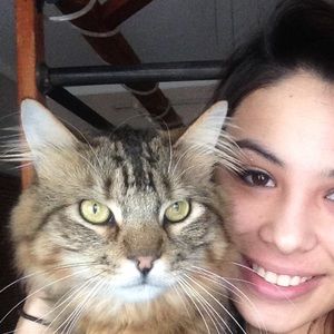 Meet your Posher, Brittany